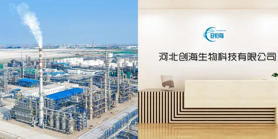 Polypropylene, 96-Strip Magnet Tip Comb for 96 Deep Well Plate for Kingfisher Plate for DNA/Rna Extraction