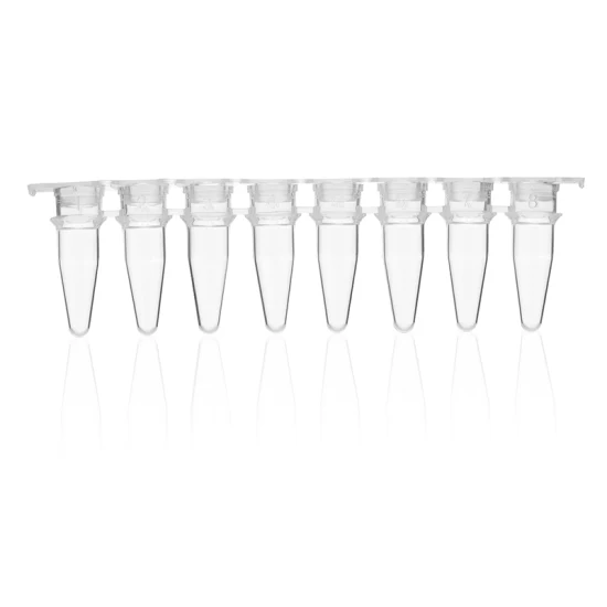 Tubes blancs transparents à 96 puits pour plaques PCR à 96 puits de 0,2 ml sans jupe ni demi-jupe